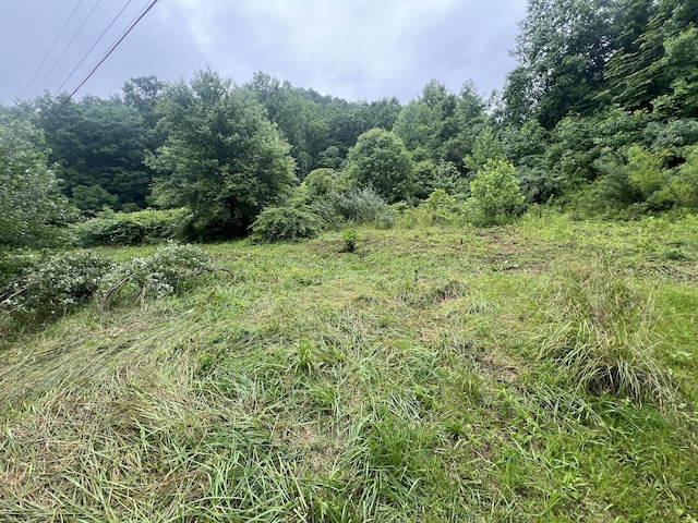 Listing photo 2 for 551 Lost Fork Rd, Manchester KY 40962