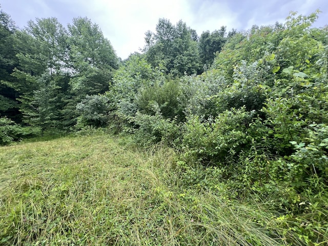 Listing photo 3 for 551 Lost Fork Rd, Manchester KY 40962