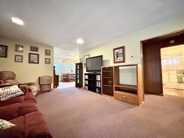 living room featuring a textured ceiling and light colored carpet