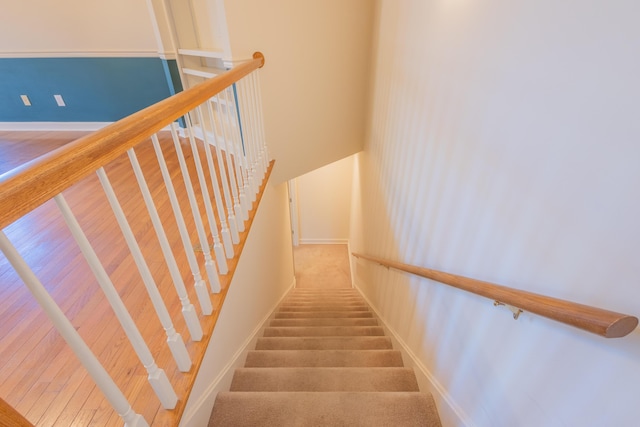 staircase with carpet flooring