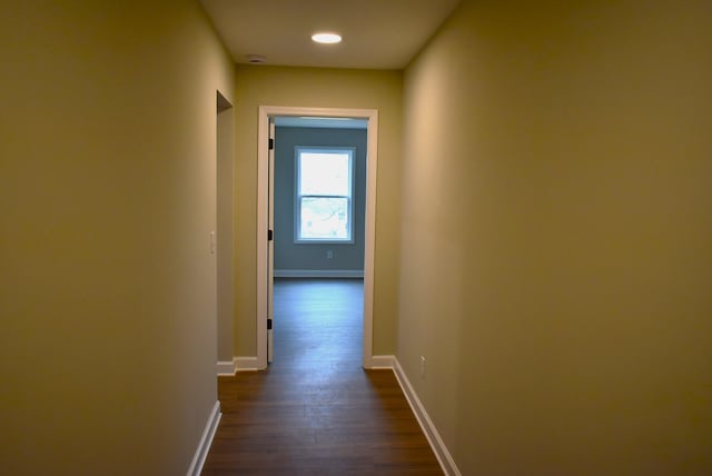 corridor featuring dark hardwood / wood-style floors