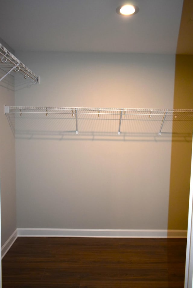 spacious closet featuring dark wood-type flooring