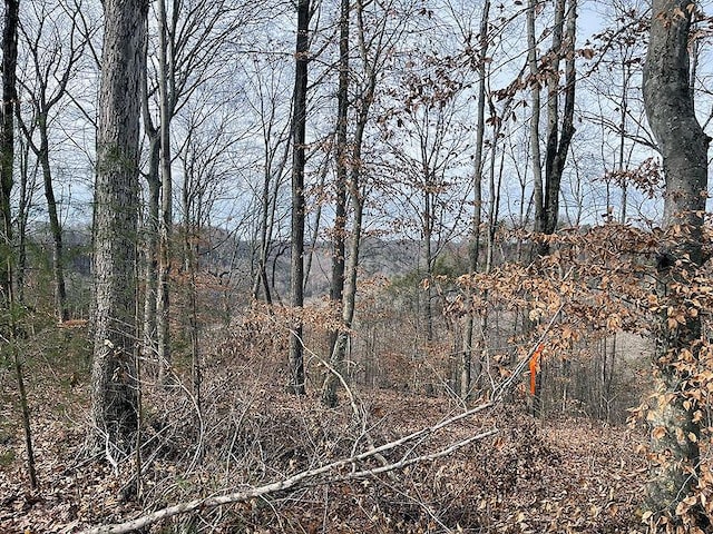 Listing photo 2 for LOT84 Stillwater, Russell Springs KY 42642