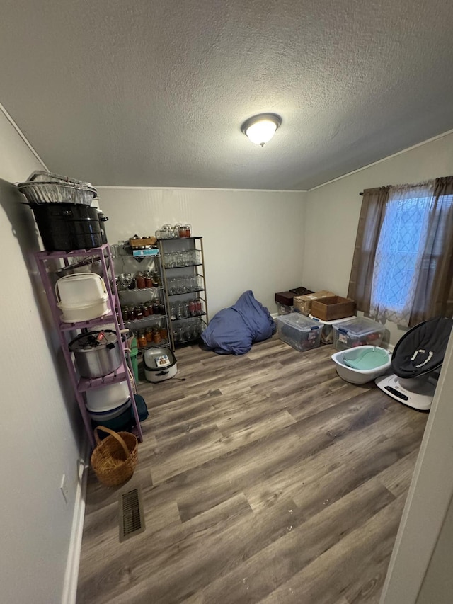 miscellaneous room featuring vaulted ceiling, dark hardwood / wood-style flooring, and a textured ceiling