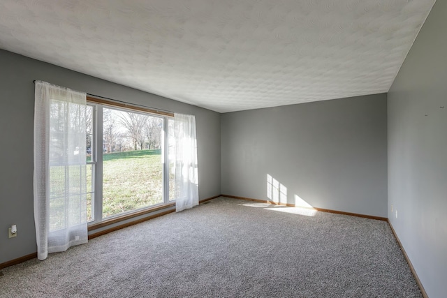 spare room with carpet floors and a textured ceiling