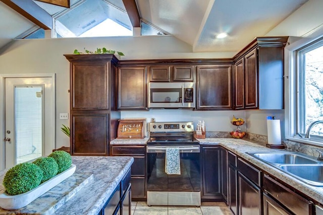 kitchen featuring sink, a wealth of natural light, stainless steel appliances, and dark brown cabinets