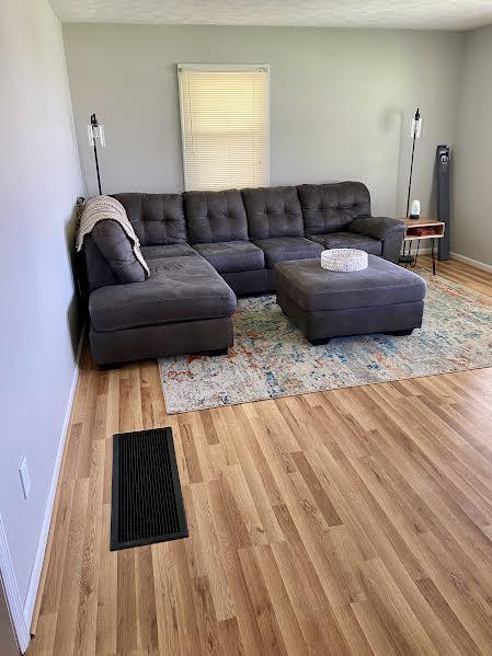 living room featuring light wood-type flooring