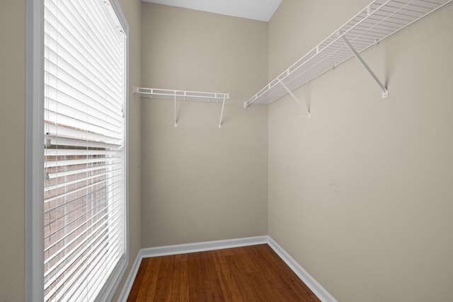 spacious closet featuring wood-type flooring