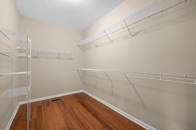 walk in closet featuring wood finished floors