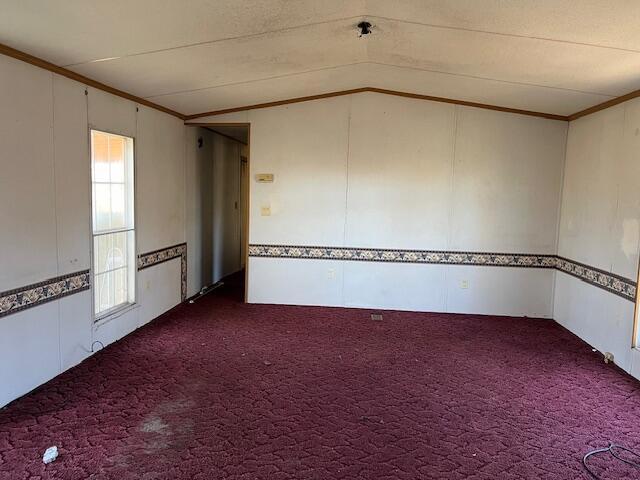 spare room featuring dark colored carpet