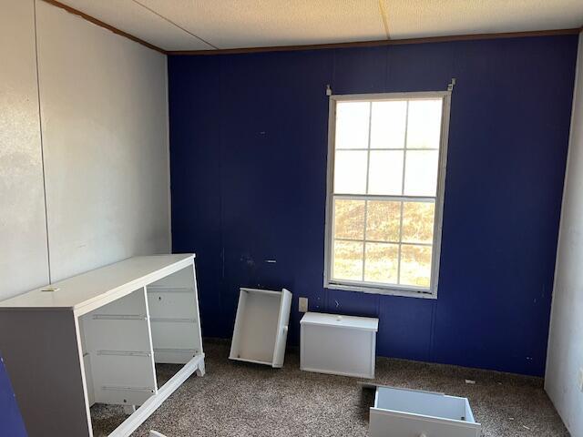 laundry room with carpet flooring