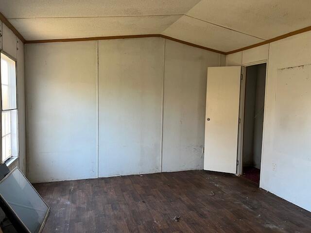 spare room featuring lofted ceiling and dark hardwood / wood-style floors