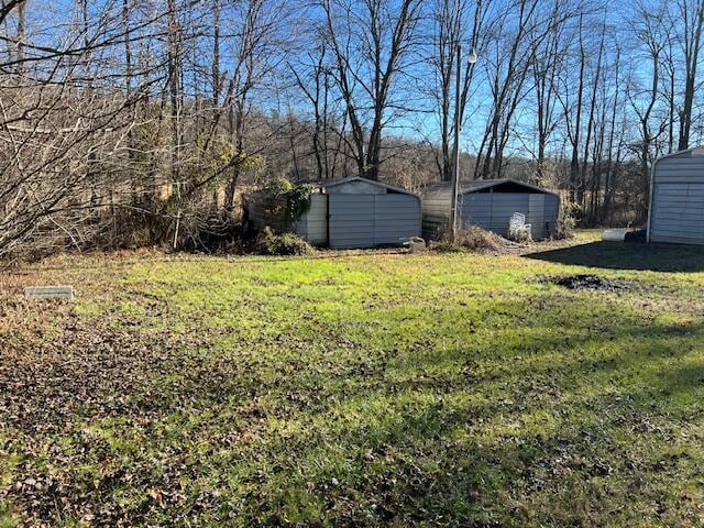 view of yard with a shed