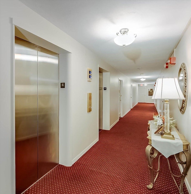 hallway featuring carpet and elevator