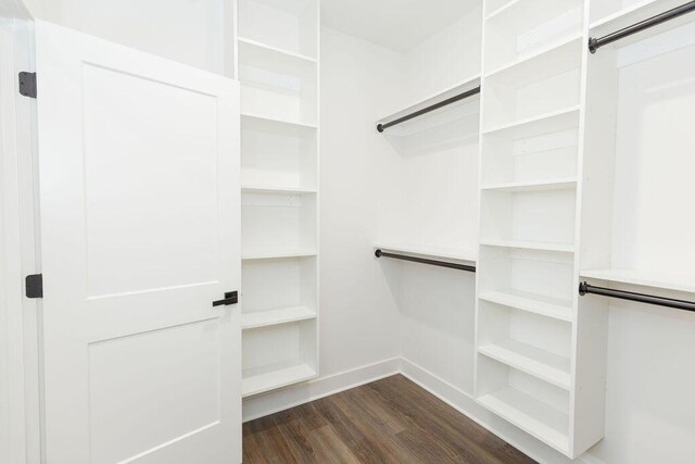 spacious closet with a barn door and dark wood-style floors