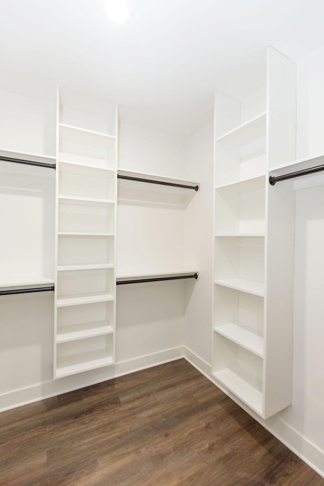 spacious closet featuring dark wood-style flooring