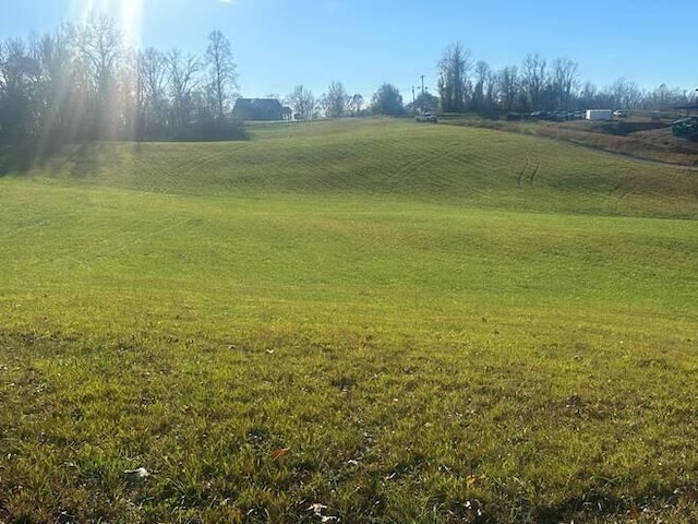 Listing photo 2 for 0 Sulphur Creek Rd, Burkesville KY 42717