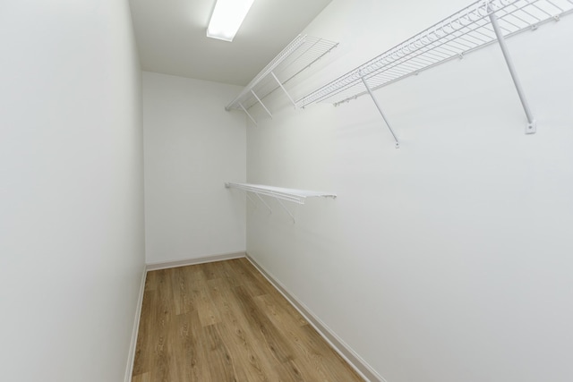 walk in closet featuring wood-type flooring