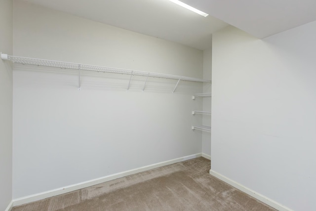 walk in closet with carpet