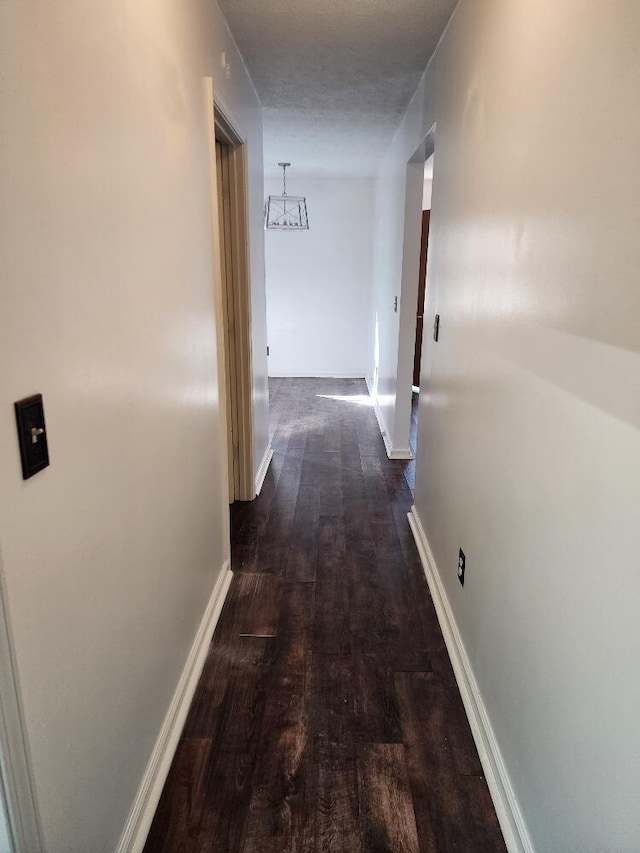 hallway with dark hardwood / wood-style flooring