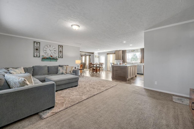 carpeted living room with ornamental molding and a textured ceiling