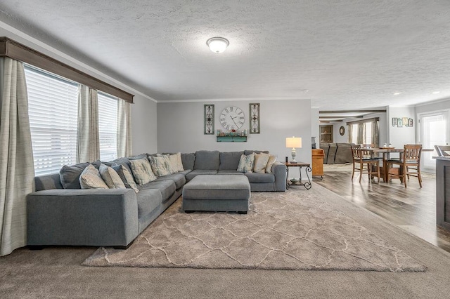 living room with ornamental molding and a textured ceiling