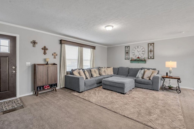 carpeted living room featuring a textured ceiling, a wealth of natural light, and ornamental molding