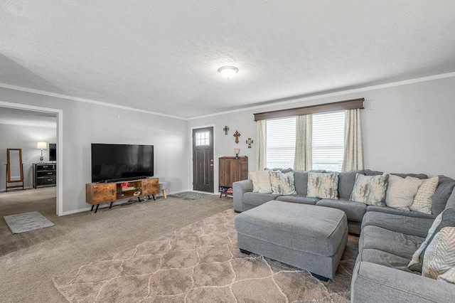 carpeted living room featuring ornamental molding and a textured ceiling