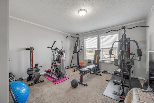 workout area with a textured ceiling, carpet floors, and crown molding