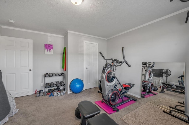 workout room with carpet flooring, crown molding, and a textured ceiling