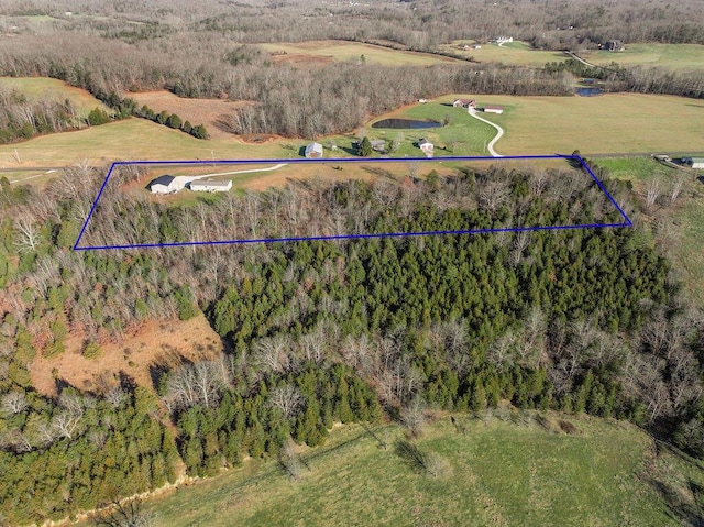 bird's eye view with a rural view