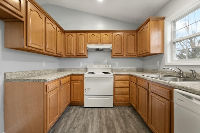 kitchen featuring dark hardwood / wood-style flooring, white appliances, lofted ceiling, and sink