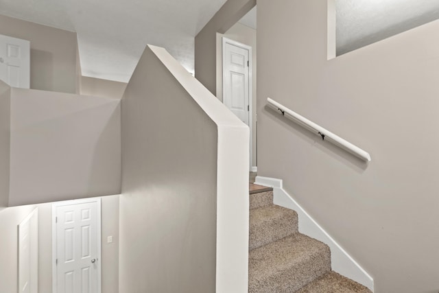 stairs with carpet flooring