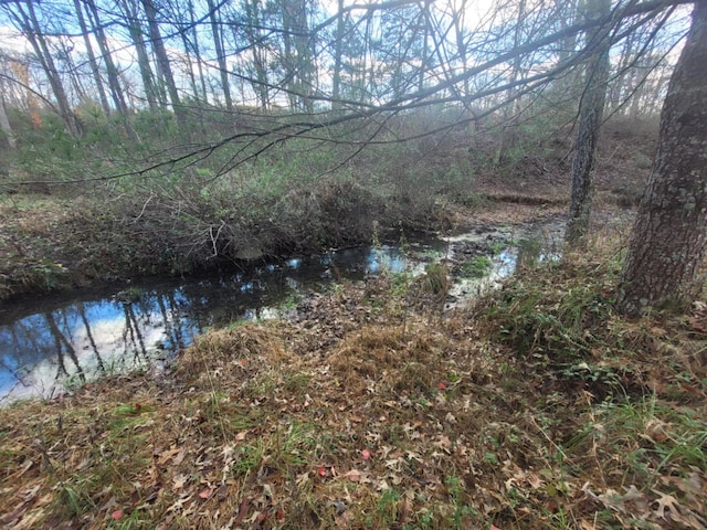 view of water feature