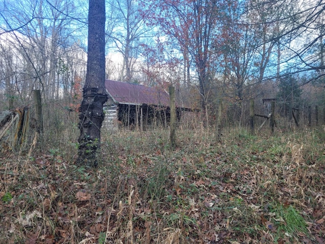 view of local wilderness