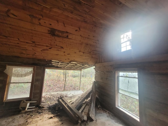 misc room featuring a healthy amount of sunlight