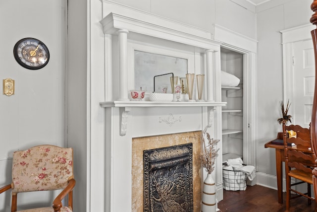 living area featuring a fireplace and dark hardwood / wood-style floors