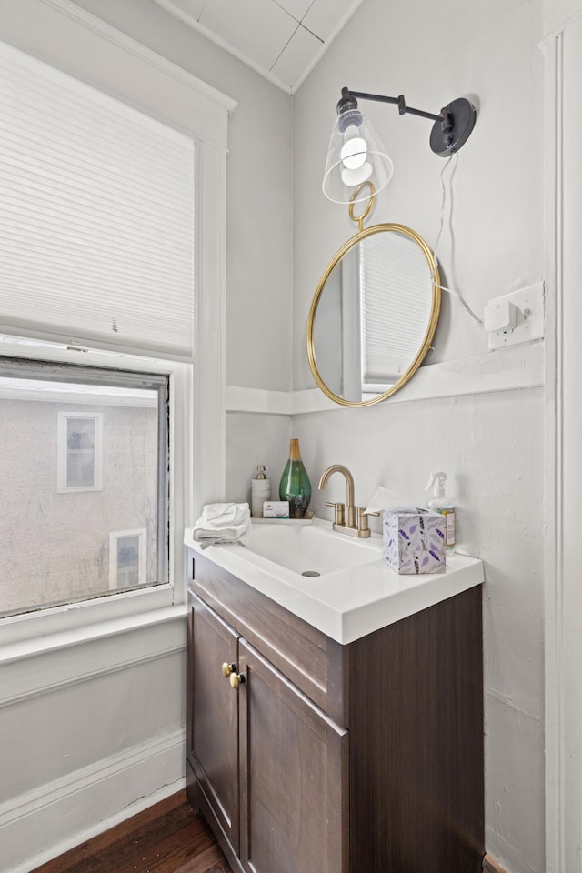 bathroom with wood-type flooring and vanity