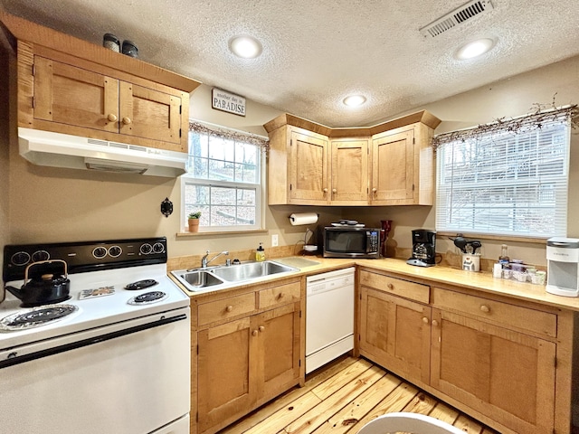 kitchen featuring a textured ceiling, white appliances, sink, and light hardwood / wood-style flooring