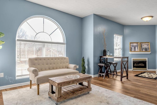 sitting room featuring plenty of natural light, wood finished floors, and baseboards