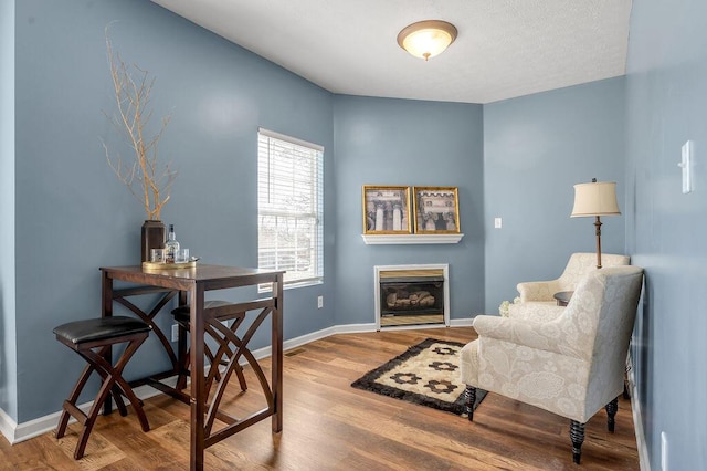 home office featuring a glass covered fireplace, baseboards, and wood finished floors