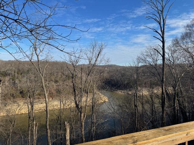 water view with a forest view