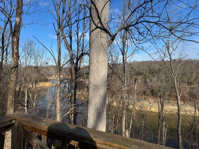 view of water feature featuring a view of trees