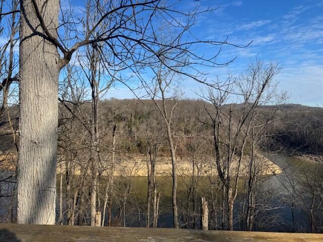 430 Lost Lodge Rd, Somerset, KY 42501 - view of local wilderness with a view of trees
