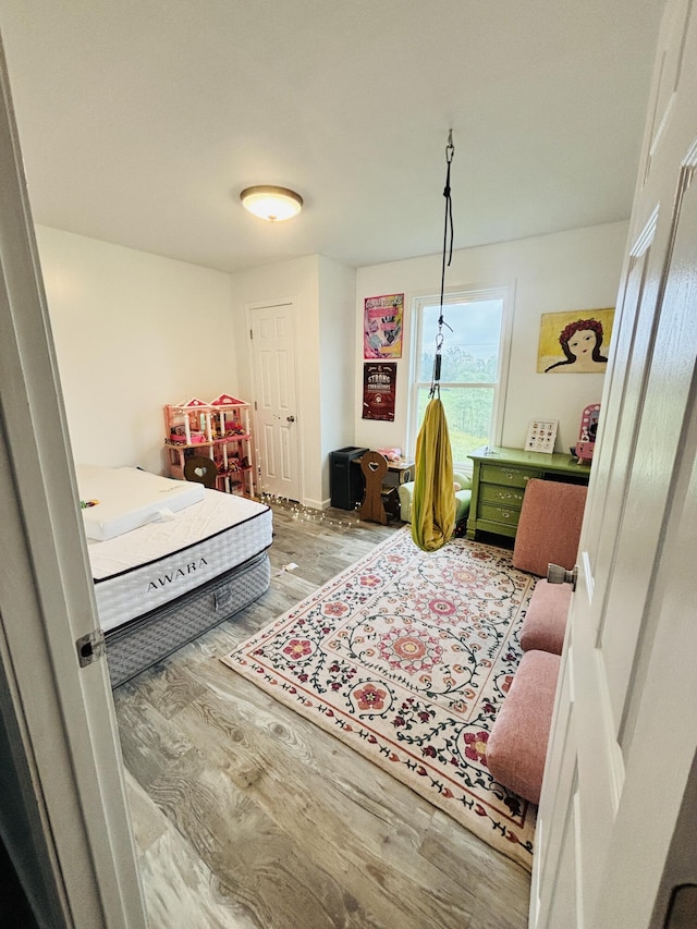 bedroom featuring wood-type flooring