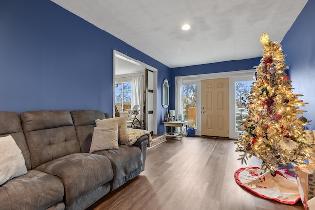 living room with hardwood / wood-style flooring