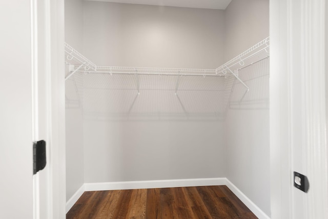 spacious closet with dark hardwood / wood-style floors