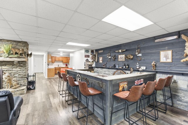 bar featuring a paneled ceiling and light hardwood / wood-style flooring