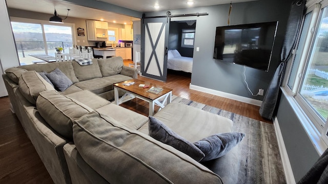 living room featuring wood-type flooring, a barn door, and plenty of natural light