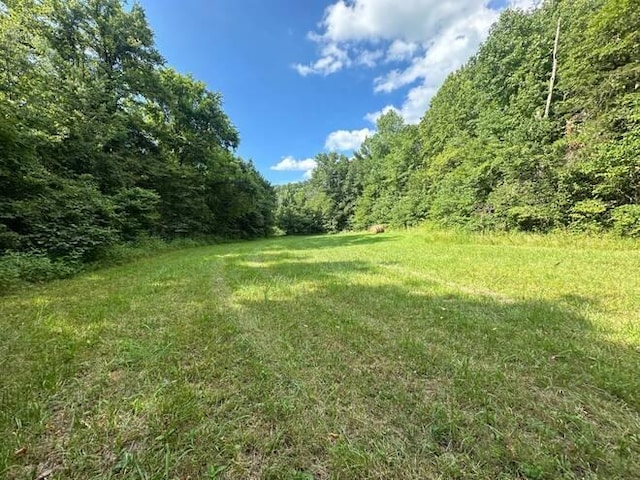 9 Long Holw, Burkesville KY, 42717 land for sale